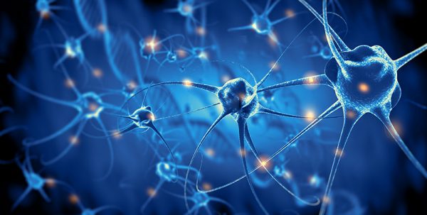 how-and-why-nerve-cells-die-neuropathy-and-hiv